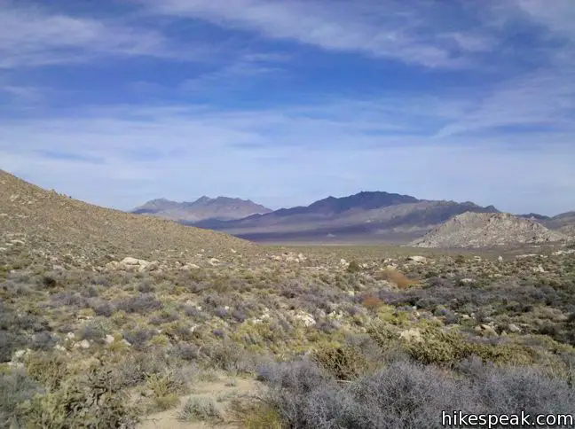 Mojave National Preserve Camping | Hikespeak.com